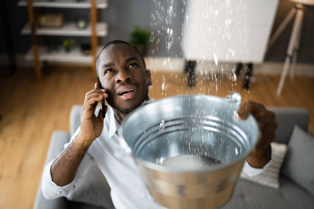 Best Flood damage cleanup  in Independence, MO