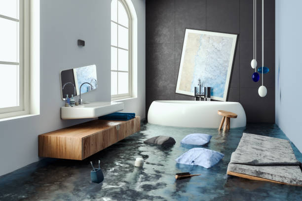 Best Carpet water damage restoration  in Independence, MO