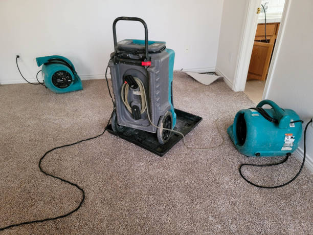 Best Basement water damage restoration  in Independence, MO