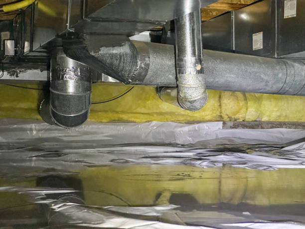 Best Water damage restoration near me  in Independence, MO