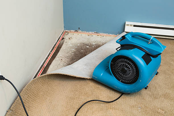 Trusted Independence, MO Water damage restoration Experts